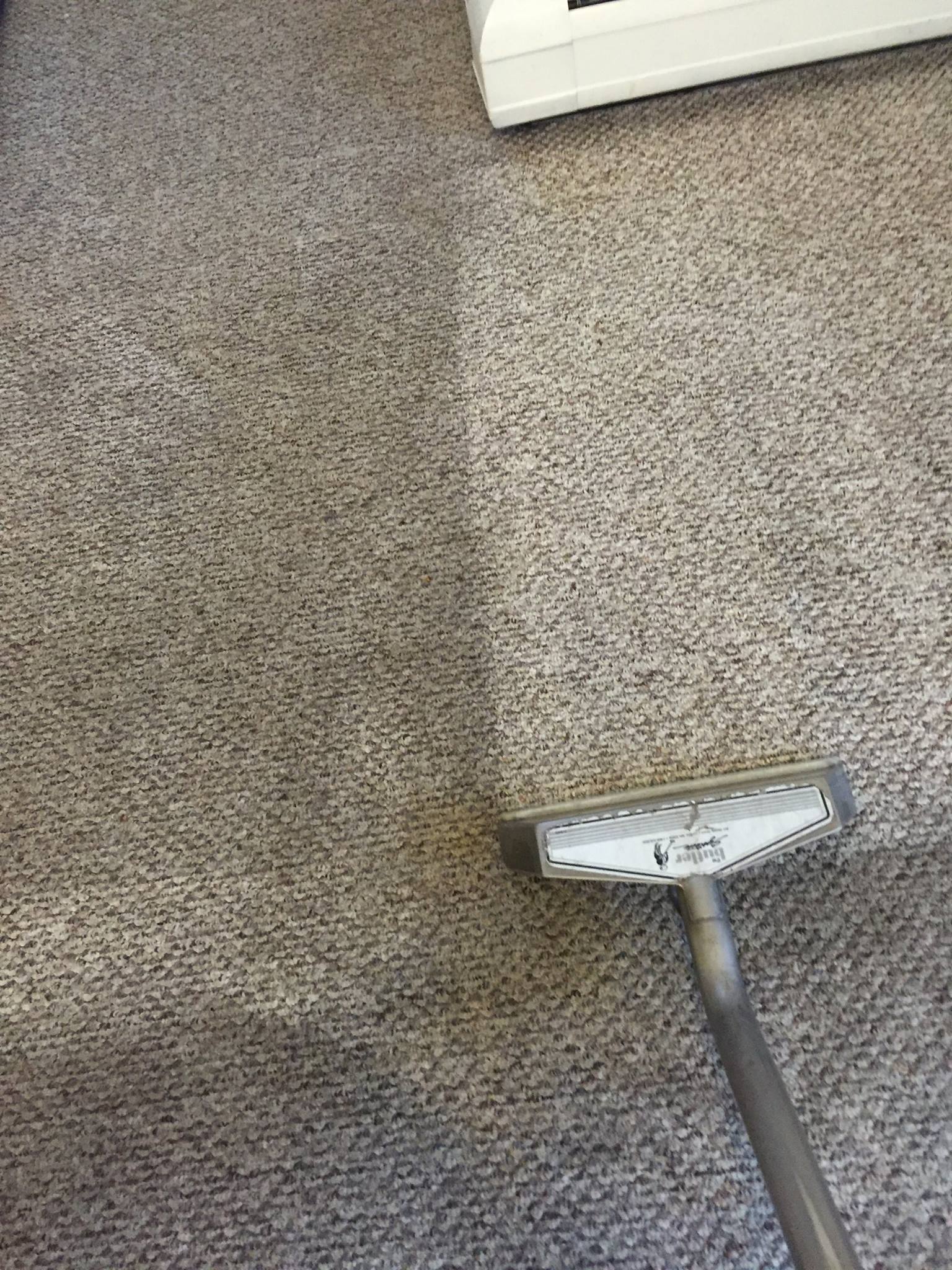 carpet cleaning before and after