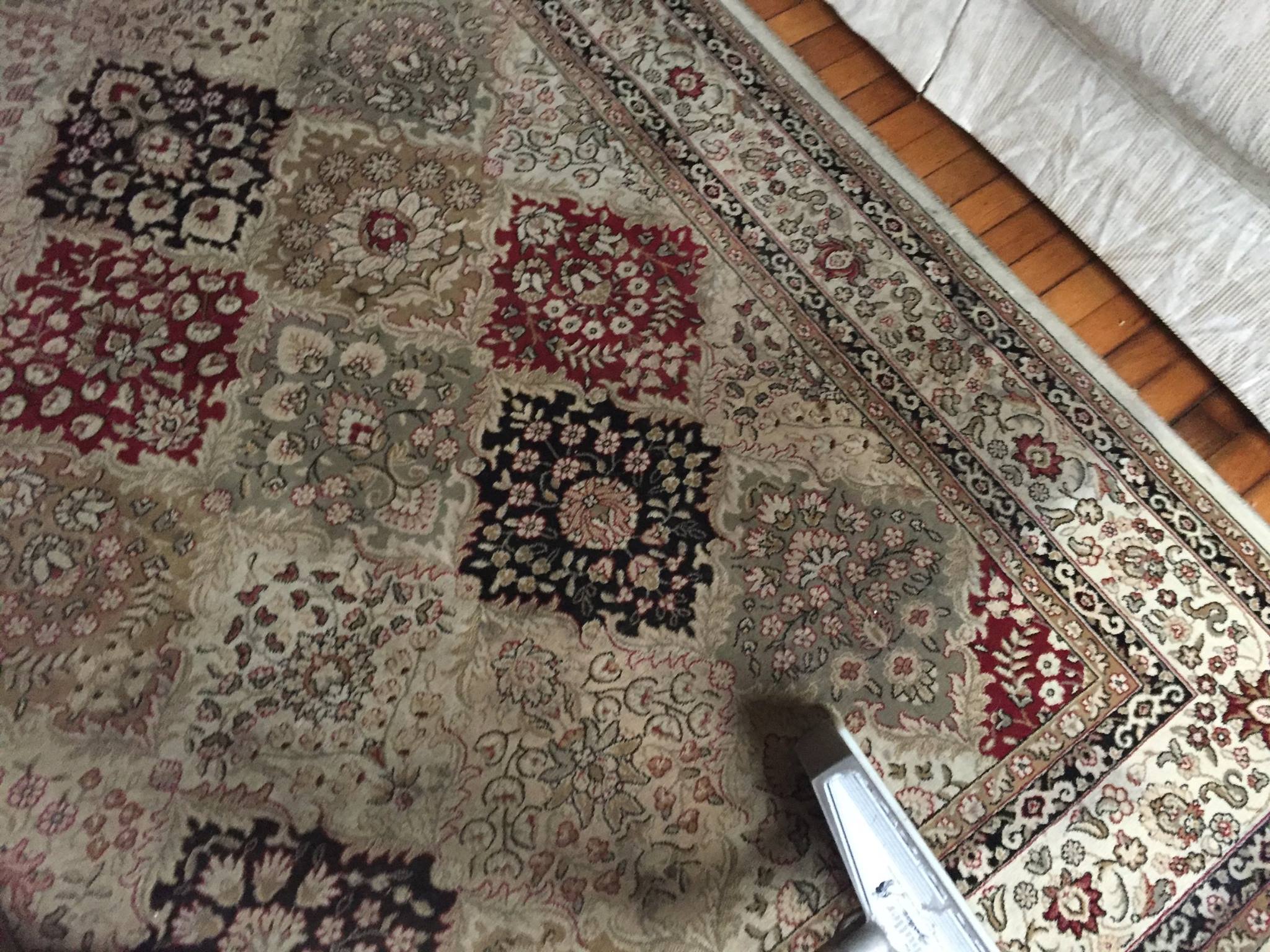 carpet cleaning