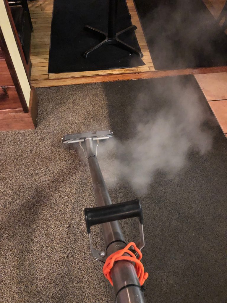 steam extractor carpet cleaner