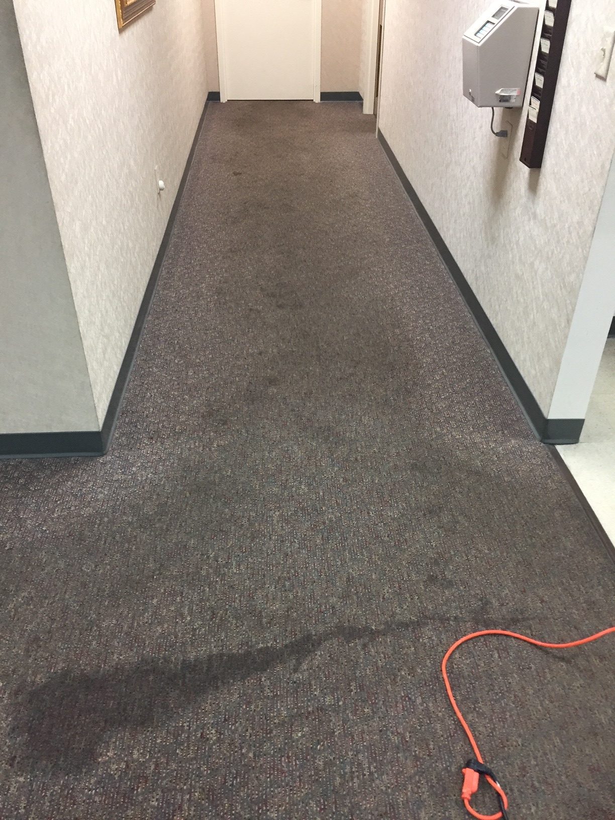 carpet cleaning