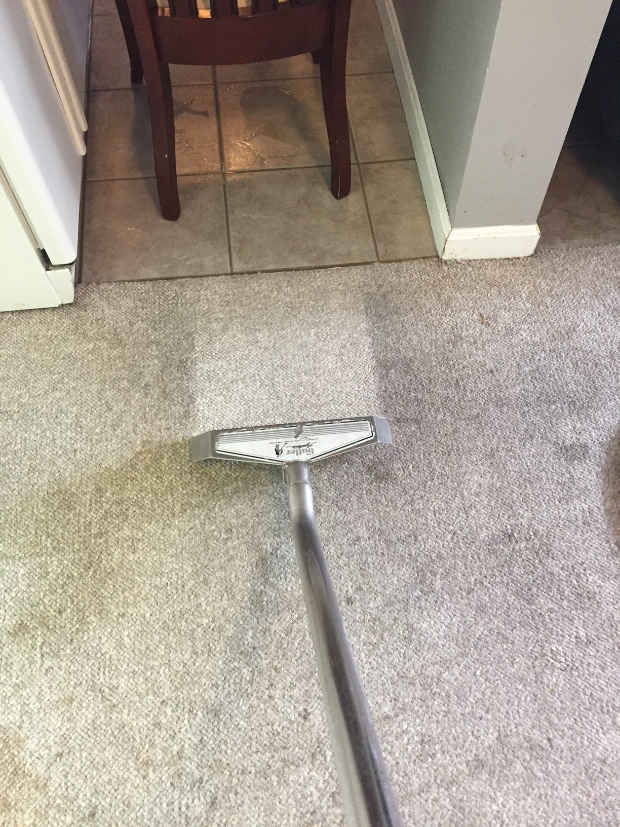 carpet cleaning