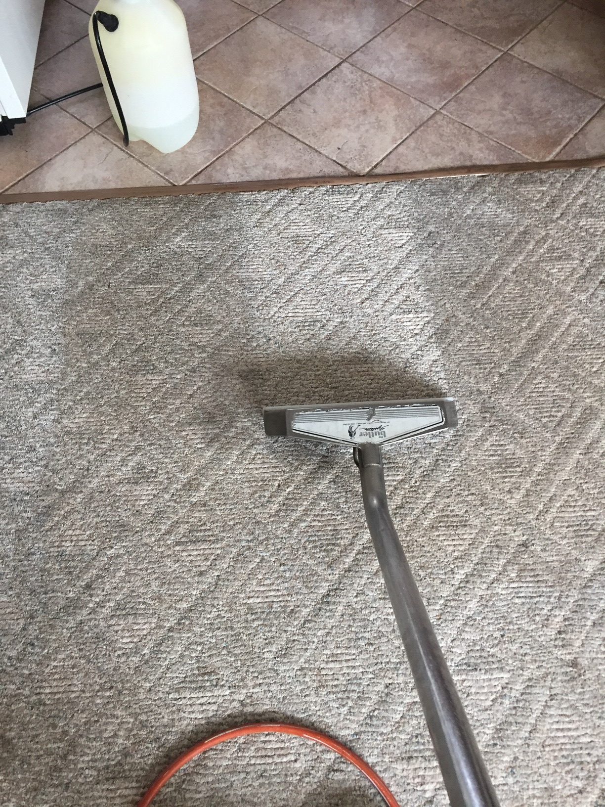 carpet cleaning