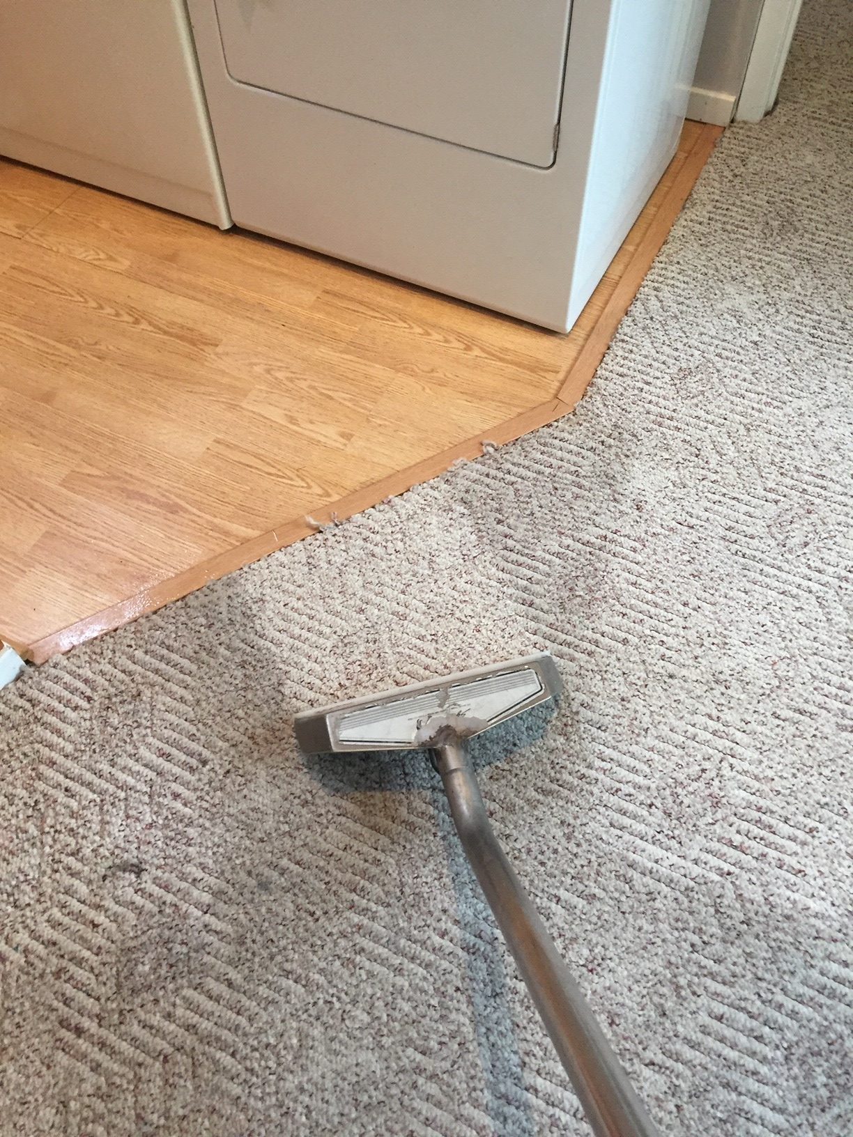 carpet cleaning