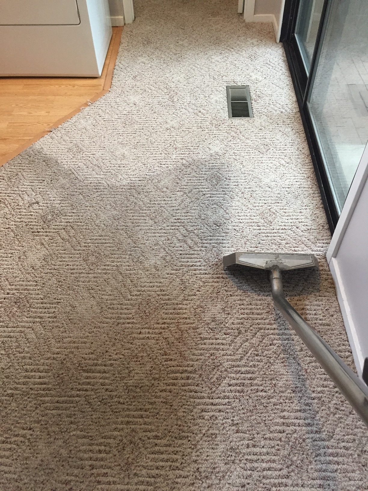 cleaning carpets