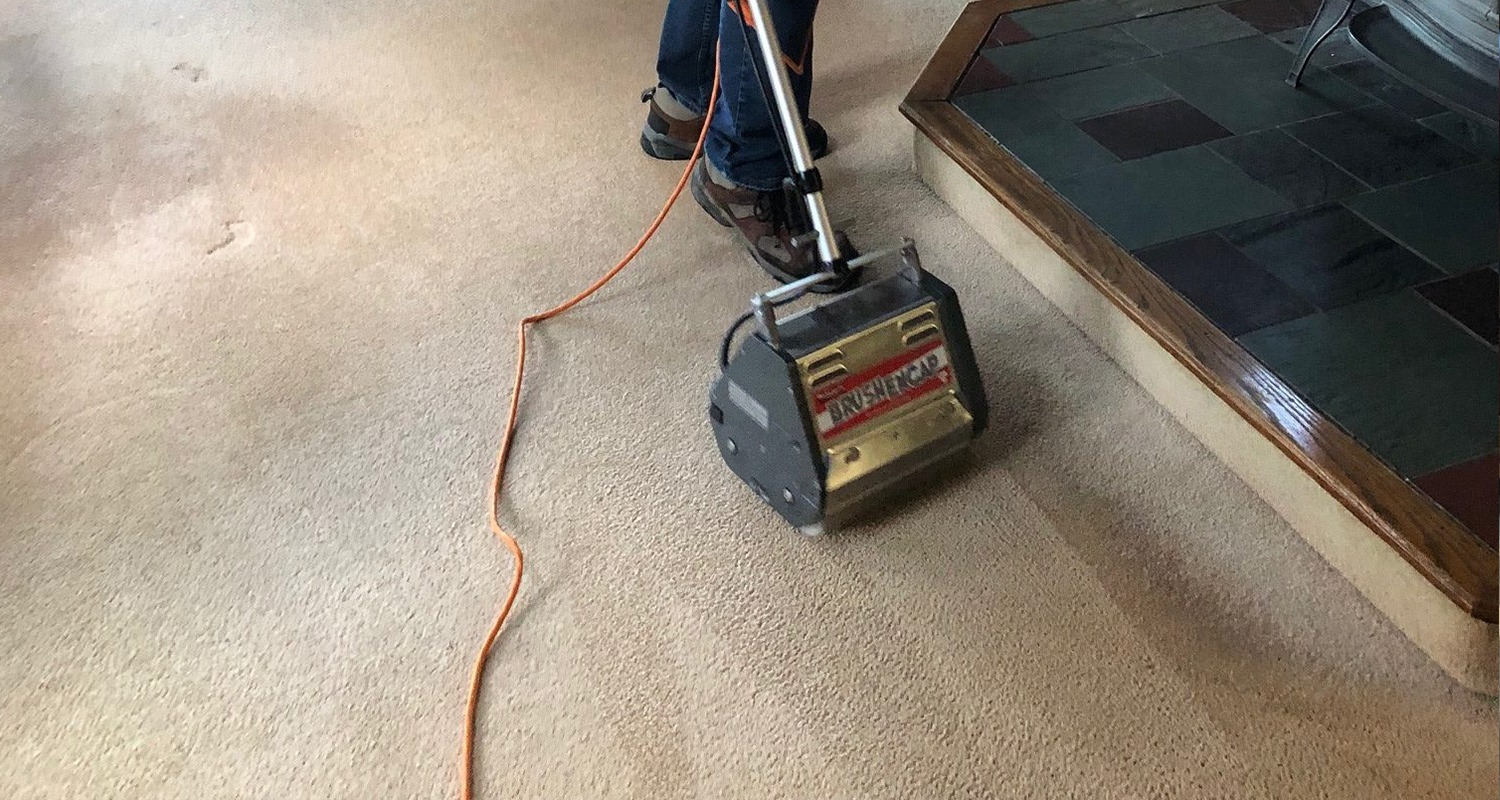 professionally cleaning carpets